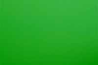 SG/SF 313 - Folie für Möbel und Wand, Unifarben, Grün